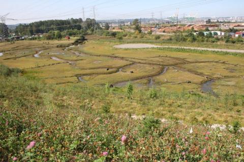 The Place of Circling Waters
